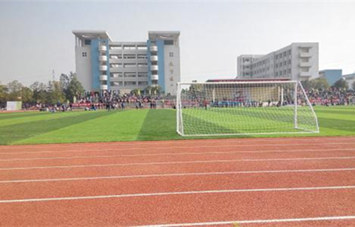 大方县猫场镇猫场中学