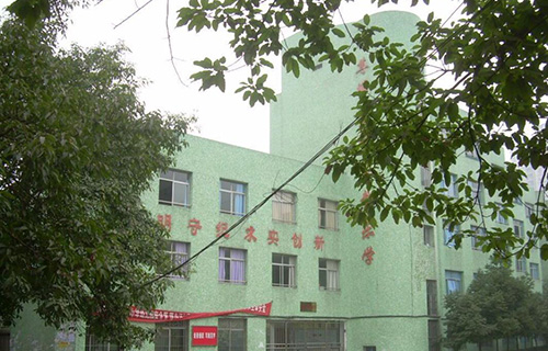 重庆大学附属中学校