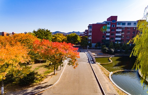 山东科技大学继续教育学院