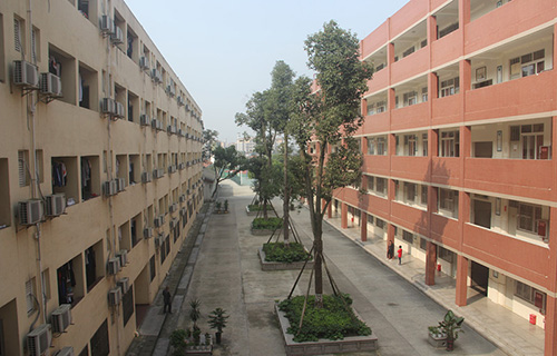 邛崃市强项实验学校