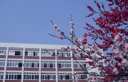 古蔺县蔺阳中学