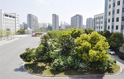 安龙县德卧中学