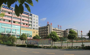 潮安县凤凰中学