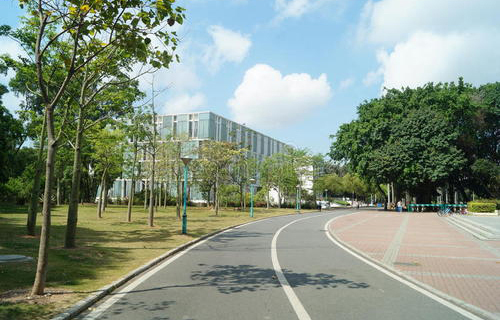 江川县大庄乡中学