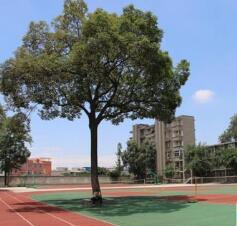 四川省广汉市第六中学校