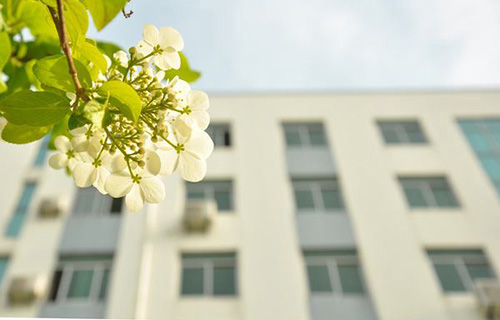 黔东南州民族师范高等专科学校附属中学