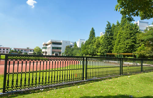 禄劝彝族苗族自治县大松树中学