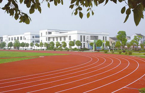 陇川县王子树中学