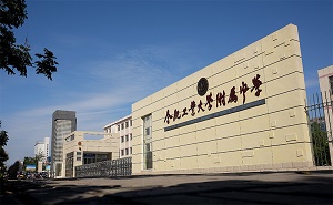 合肥工业大学附属中学