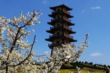灵丘一中