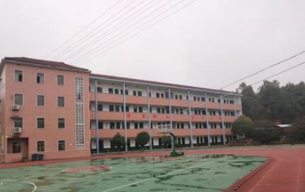 新阳中学