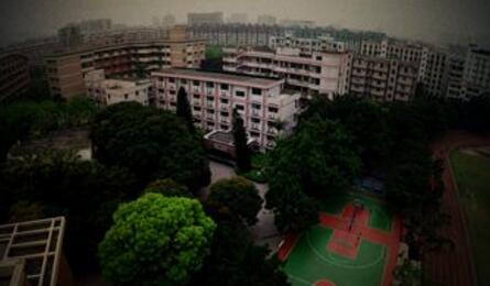 桐乡市石门中学