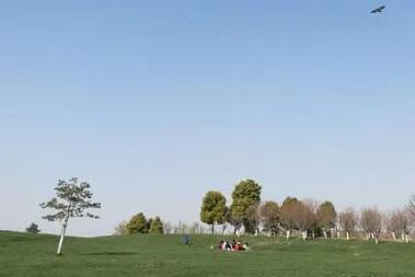 涡阳县石弓镇大寺中学