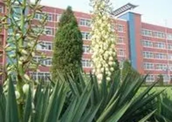 山西省孝义市私立五爱学校