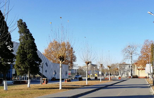 西丰县松树乡中学