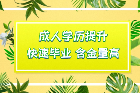 专科生通过统考专升本读本科然后考研可行吗