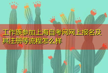 工作族参加上海自考网网上报名及其注册等流程怎么样