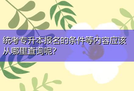 统考专升本报名的条件等内容应该从哪里查询呢？