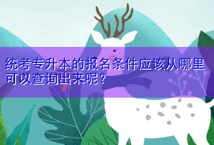 统考专升本的报名条件应该从哪里可以查询出来呢？