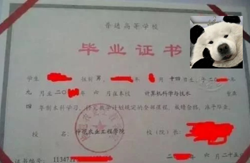 不同类型专升本毕业证图片展示