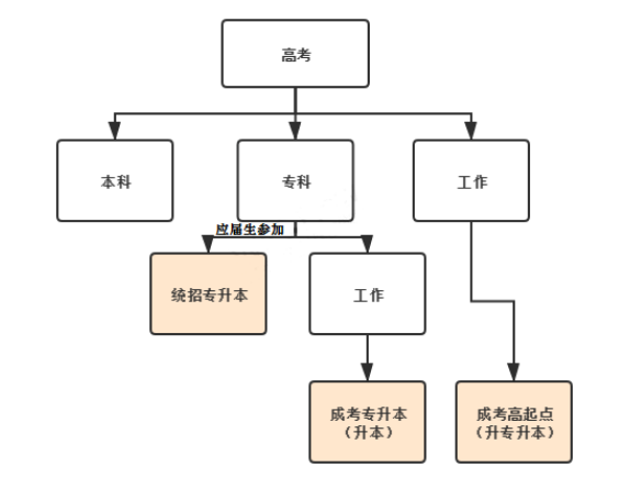 安徽成考,高考,统招专升本的区别