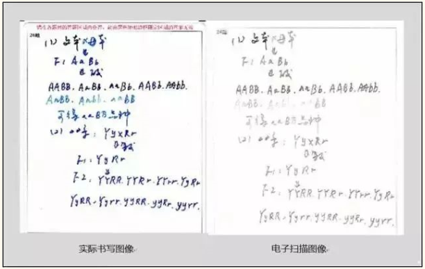 专升本考试答题中常见的错误及应对措施