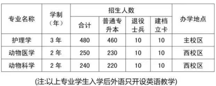 2022年锦州医科大学专升本招生专业