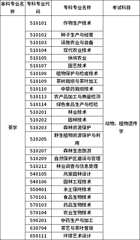 招生专业