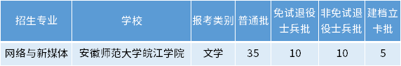 安徽专升本网络与新媒体专业招生学校