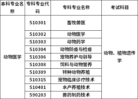 招生专业
