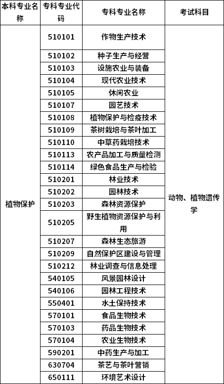 招生专业