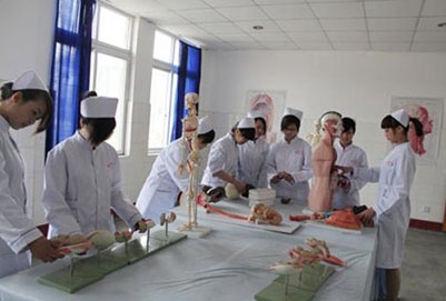 辽宁中医药大学杏林学院2023年报名条件、招生要求、招生对象
