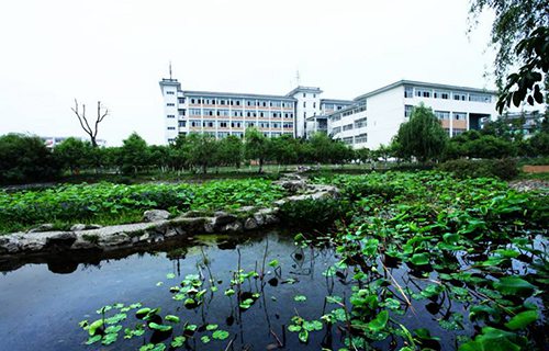 合肥商贸科技学校2022年报名需要满足哪些条件